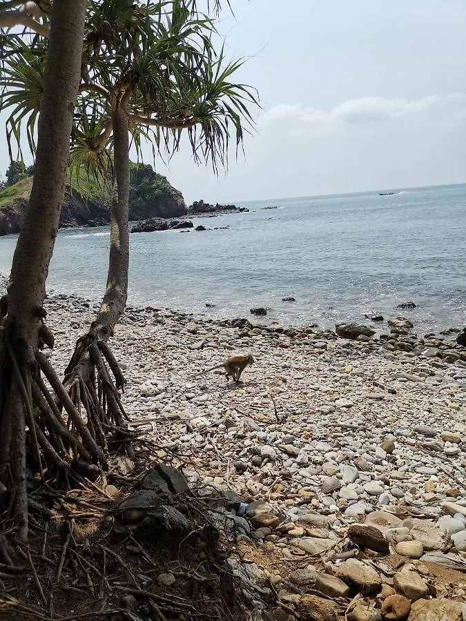 Lanta Bluewave Bungkalow Koh Lanta Apartment